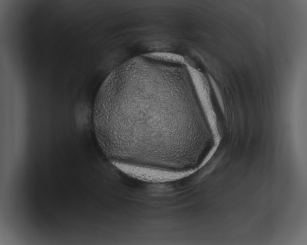 X0000100950281200807151343