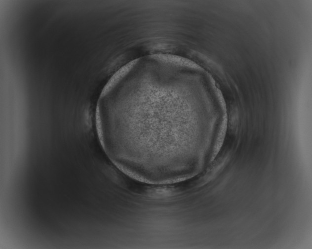 X0000100950282200807151343