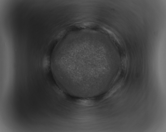 X0000100950284200807151343