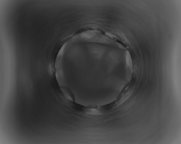 X0000100950285200807151343