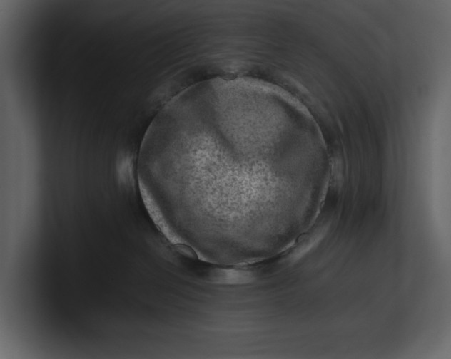 X0000100950286200807151343