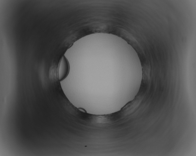 X0000100950287200807151343