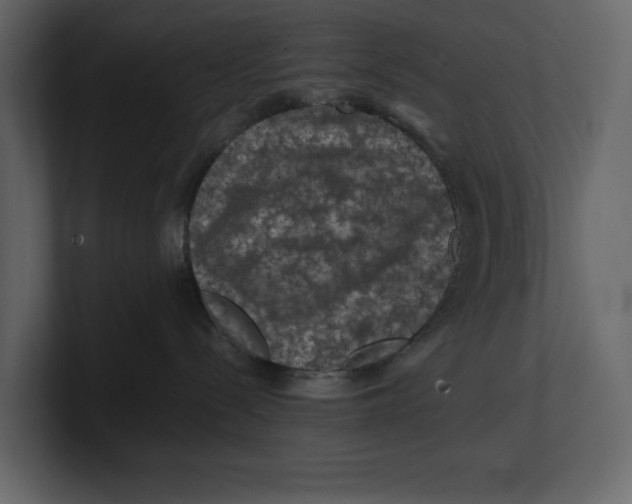 X0000100950288200807151343