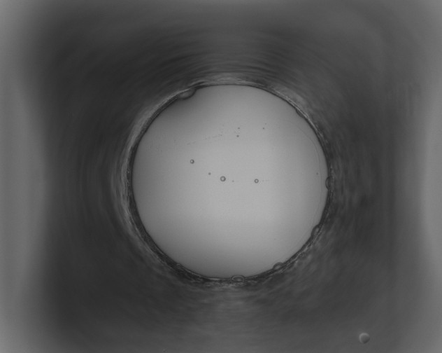 X0000100950289200807151343