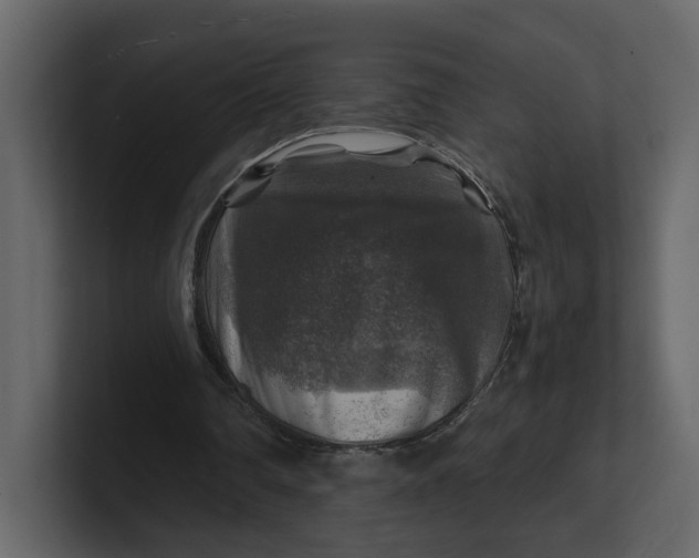 X0000100950290200807151343