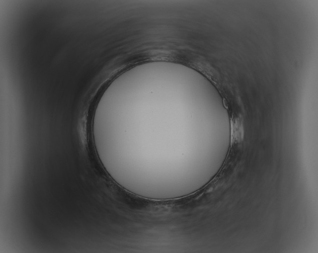 X0000100950291200807151343