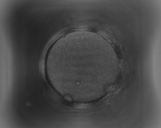 X0000100950293200807151342