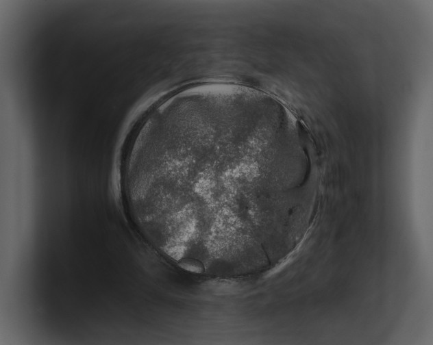 X0000100950294200807151342