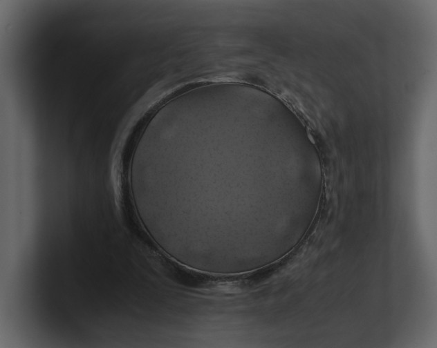 X0000100950295200807151342