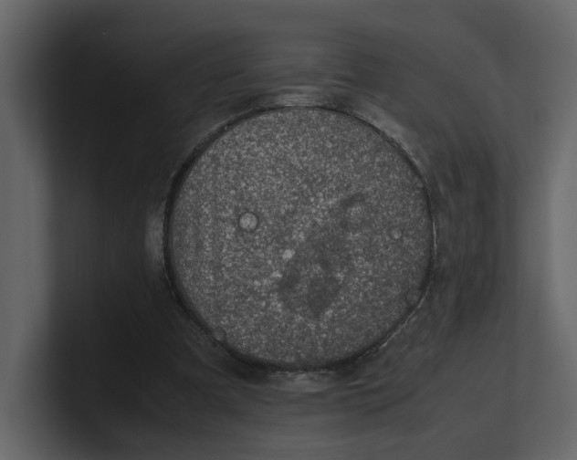 X0000100950297200807151342