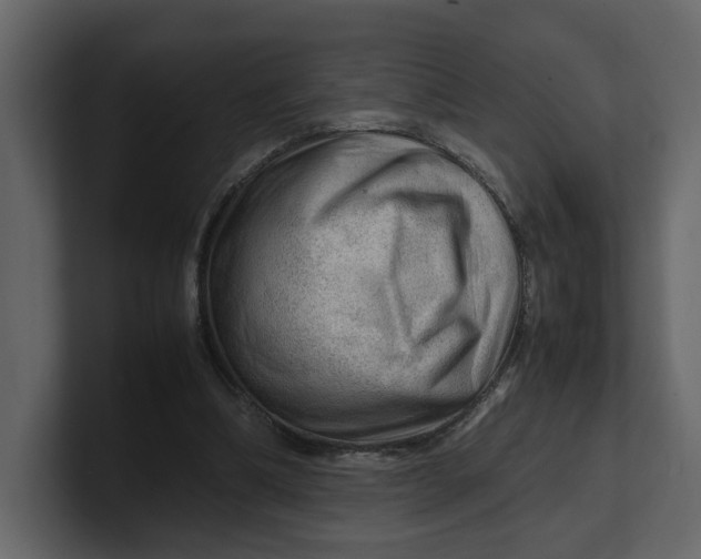 X0000100950298200807151342