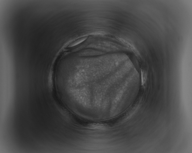 X0000100950300200807151342