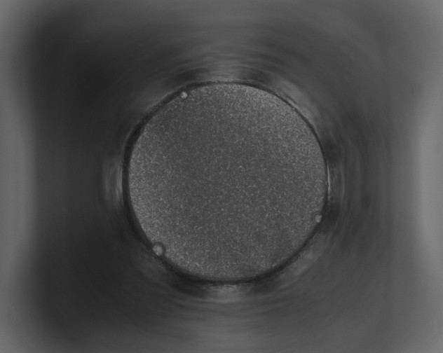 X0000100950301200807151342