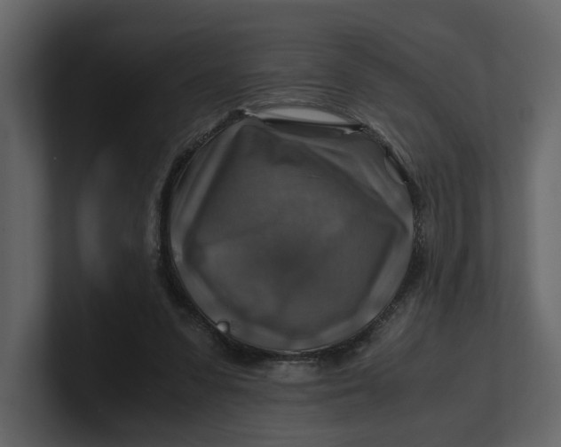 X0000100950303200807151342