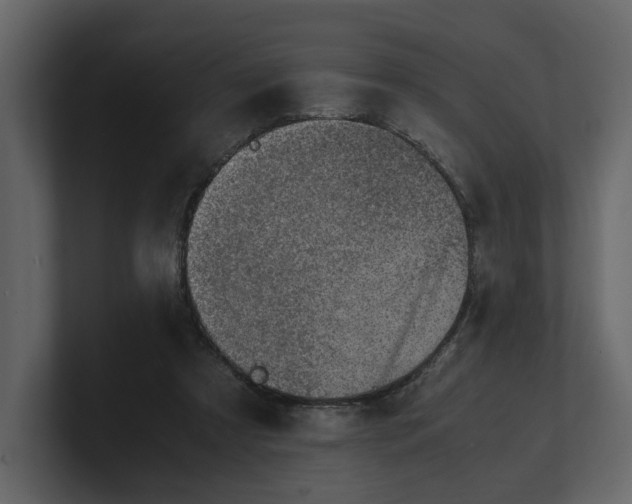 X0000100950305200807151342