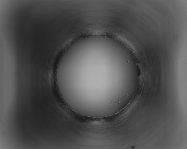 X0000100950306200807151342