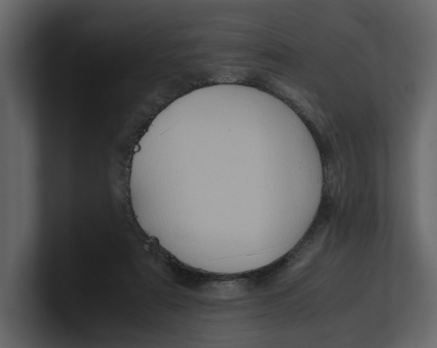 X0000100950307200807151342