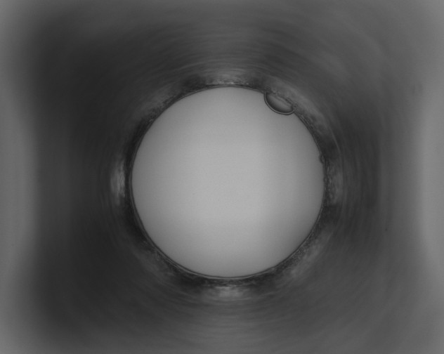 X0000100950310200807151342