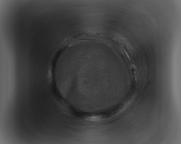 X0000100950312200807151342