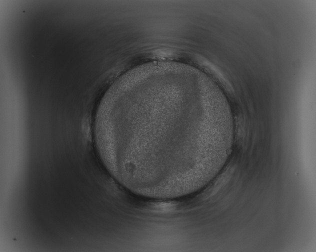 X0000100950313200807151342