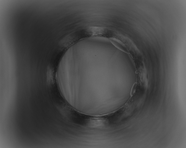 X0000100950316200807151342