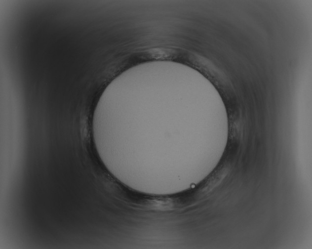 X0000100950317200807151342