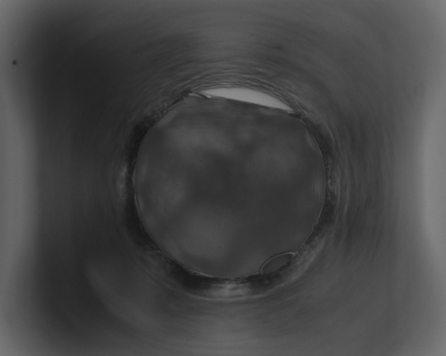 X0000100950319200807151342