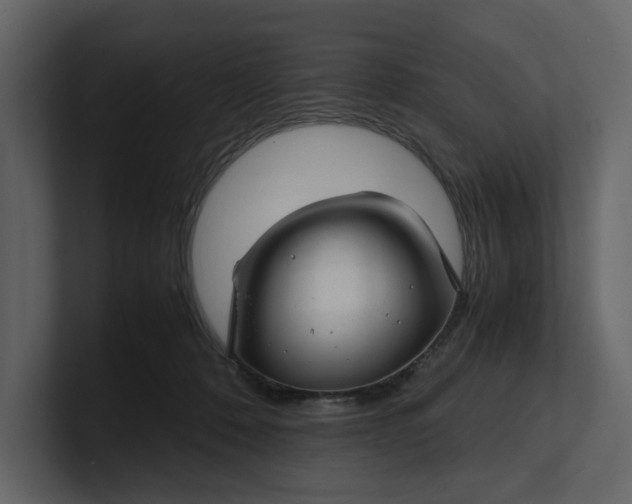 X0000100950320200807151342