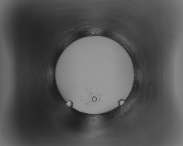 X0000100950321200807151342