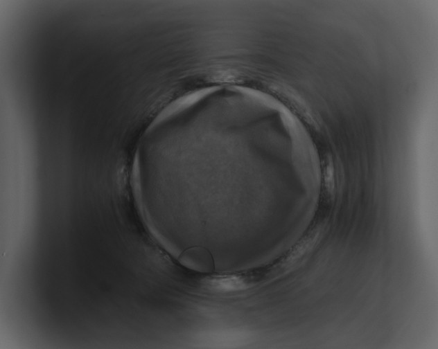 X0000100950322200807151342