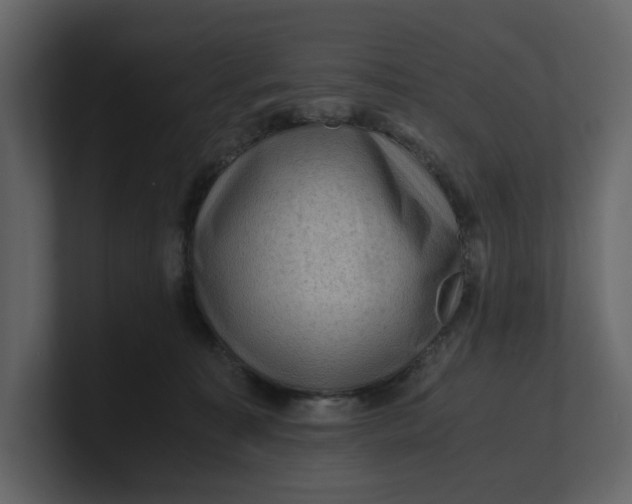 X0000100950323200807151342