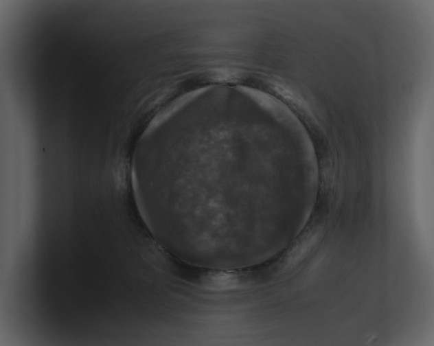 X0000100950325200807151342