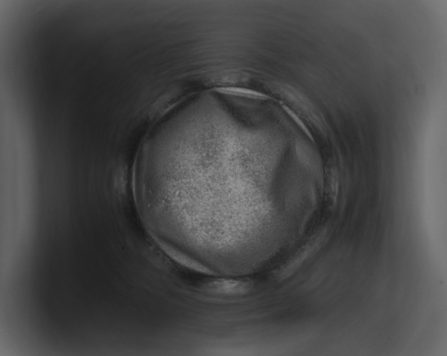 X0000100950326200807151342