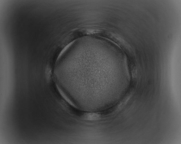 X0000100950327200807151342