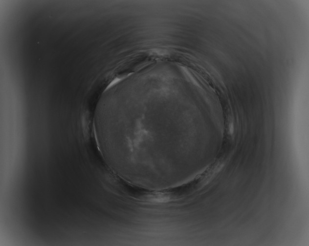 X0000100950328200807151342