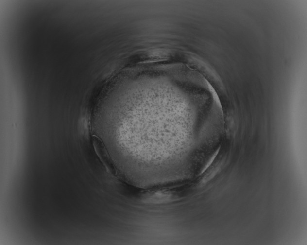 X0000100950329200807151342