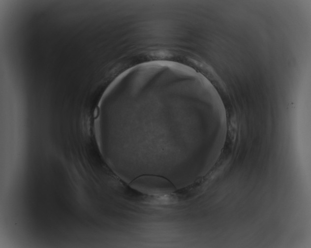 X0000100950330200807151342