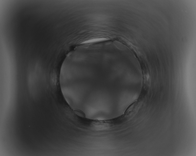 X0000100950331200807151342