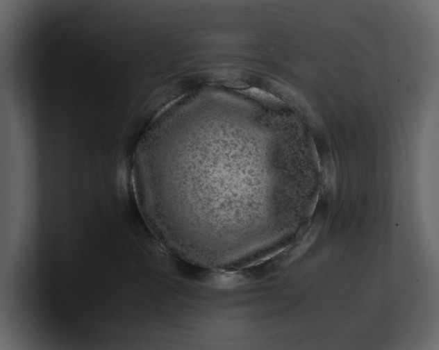 X0000100950333200807151342