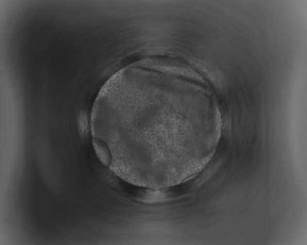 X0000100950335200807151342