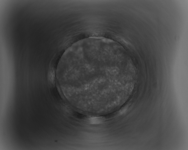 X0000100950336200807151342