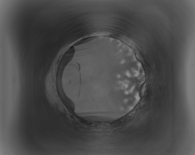 X0000100950337200807151341