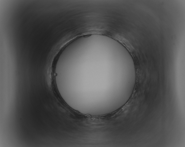 X0000100950338200807151341