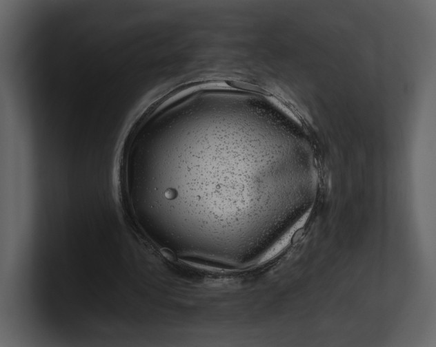 X0000100950340200807151341