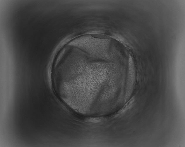 X0000100950341200807151341