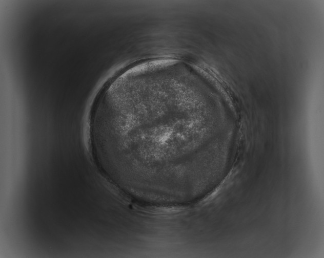 X0000100950342200807151341