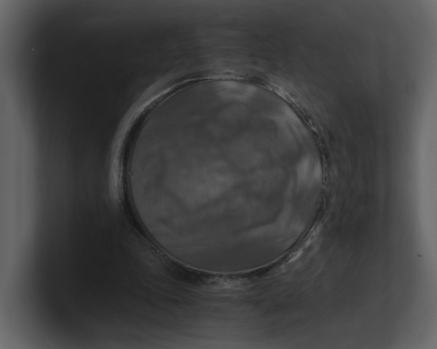 X0000100950343200807151341