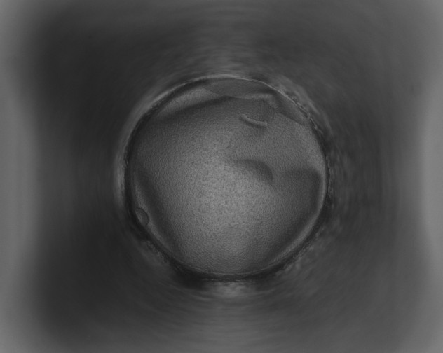 X0000100950344200807151341