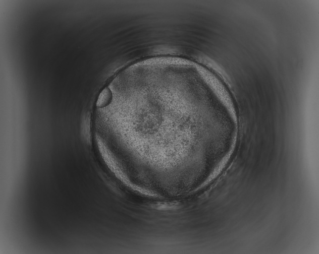 X0000100950345200807151341