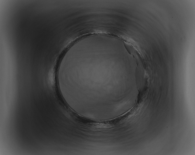 X0000100950347200807151341